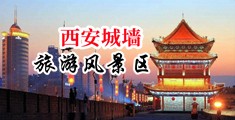 肏逼内射网址中国陕西-西安城墙旅游风景区